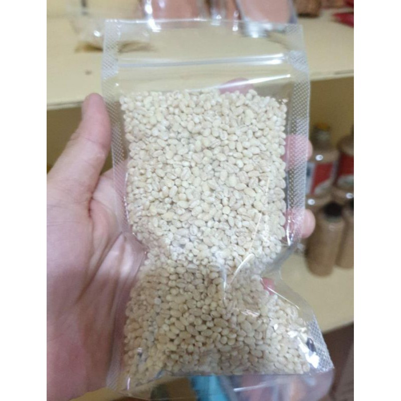 

Barley seed