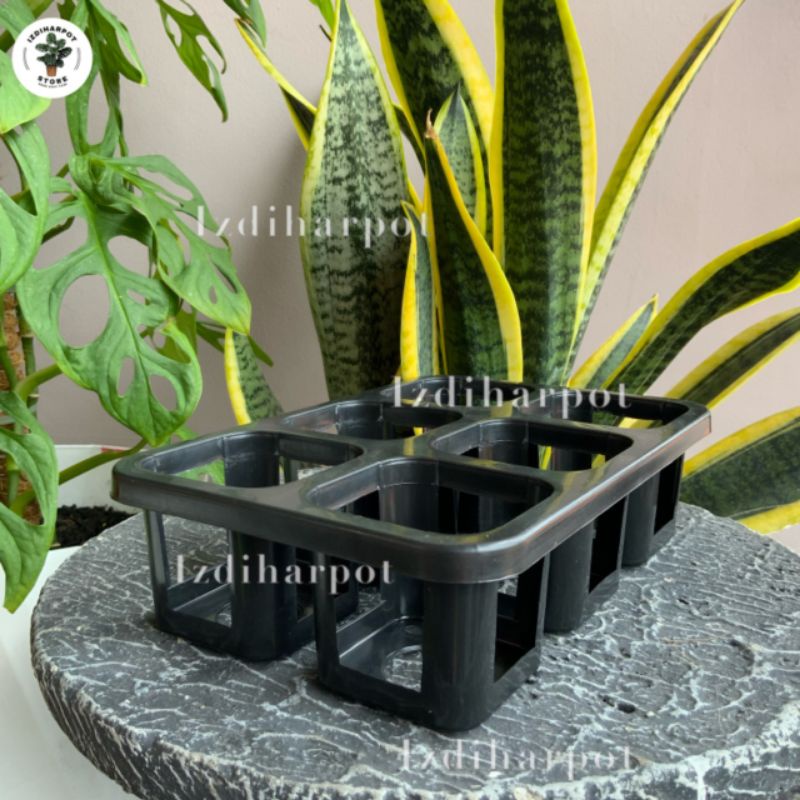 Tray pot nkt kotak 7CM (tanpa pot) | nkt kotak 7CM | tray semai bibit