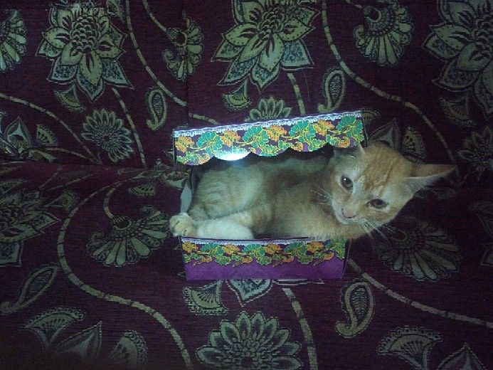 Maura Couple - Sania Ruffle Batik Couple Ori Ndoro Jowi Garansi Termurah Shopee - Harga Satuan Pisah