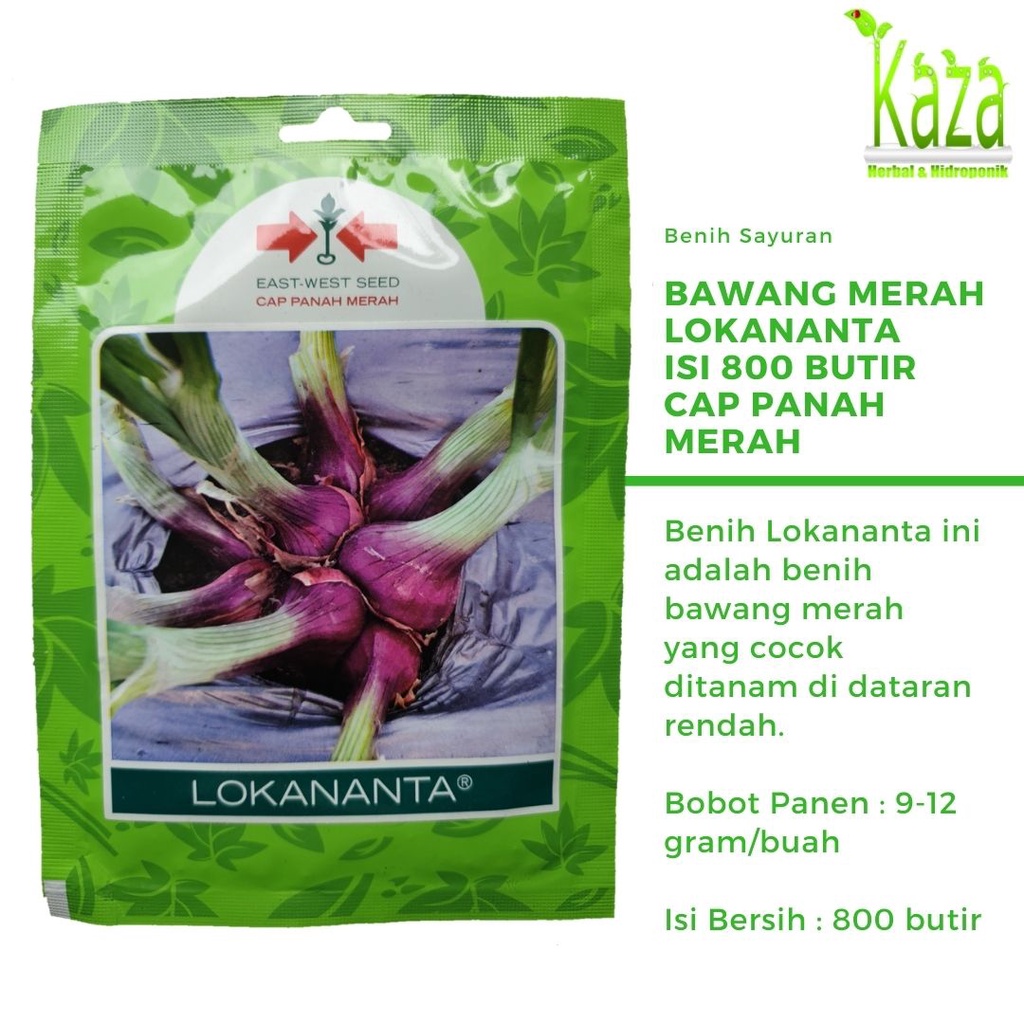 Benih Biji Bawang Merah Lokananta TSS SP Cap Panah Merah isi 800 butir