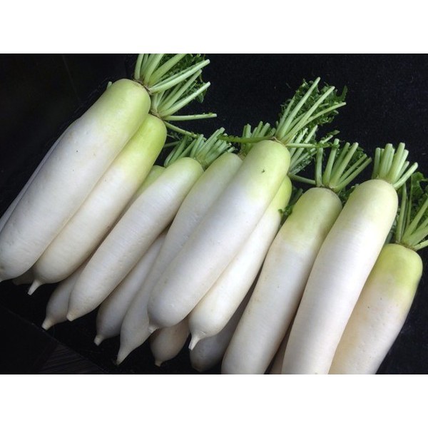 

Jual Lobak Putih 500 gram Pasar Sayur Bandungan Semarang