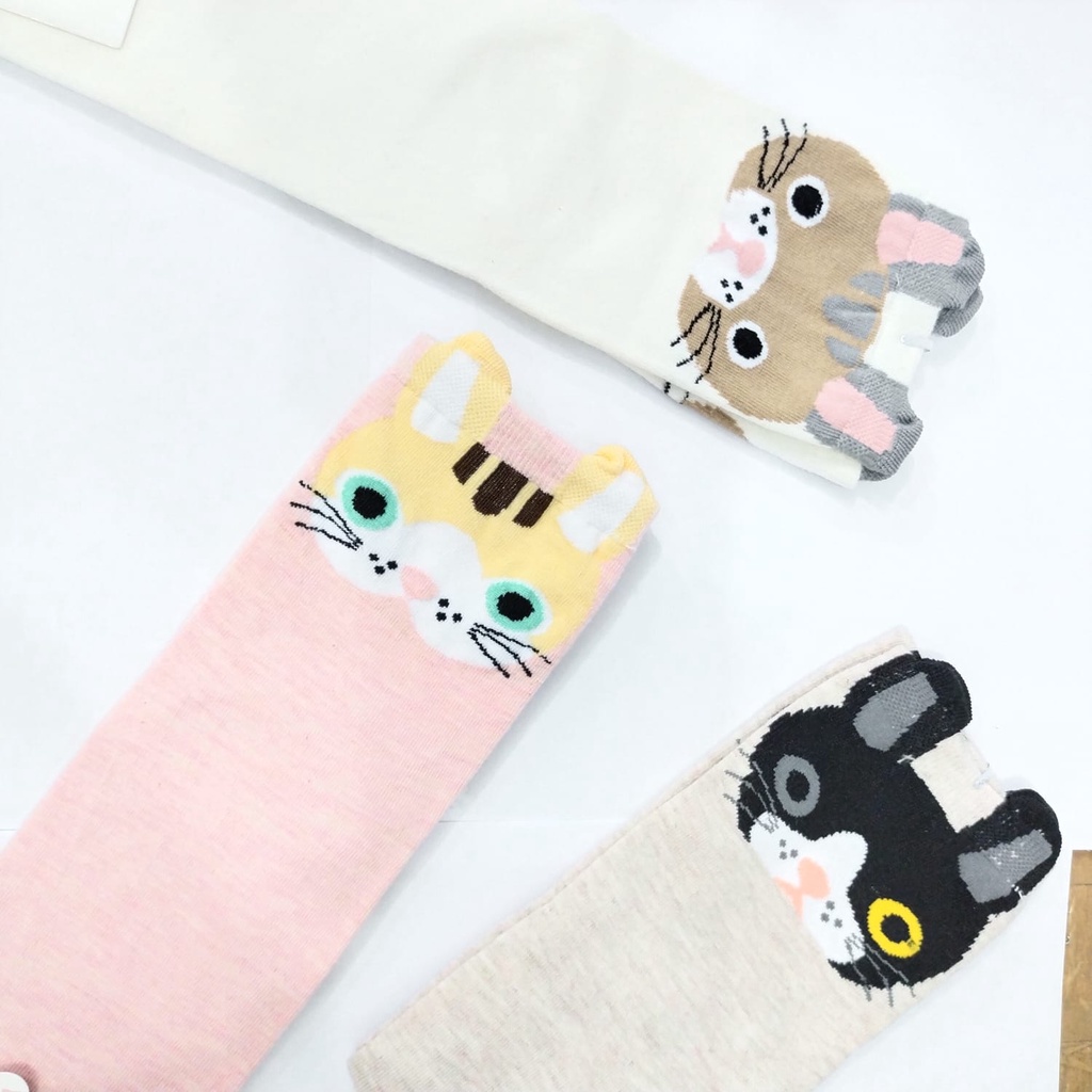 Kaos Kaki Panjang Karakter Lucu Motif Kucing Ala Korea