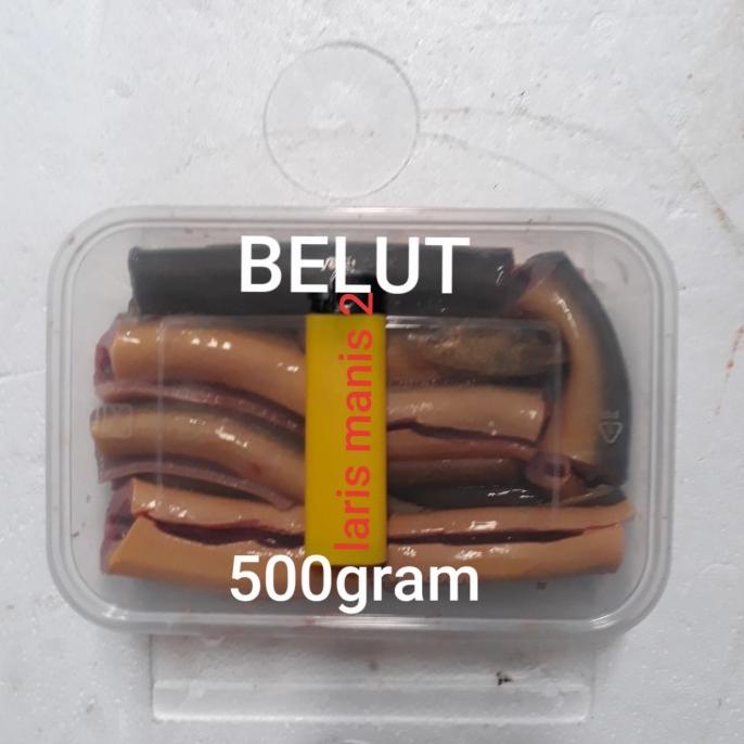 

[COD] belut lindung belut sawah fresh 500gram [COD]