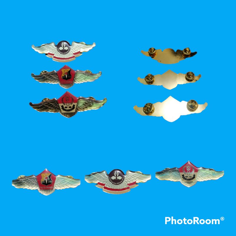 

pin pramuka wings pramuka saka bayangkara wings wirakartika wings gerakan pramuka