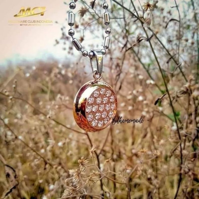 lsw rose gold original