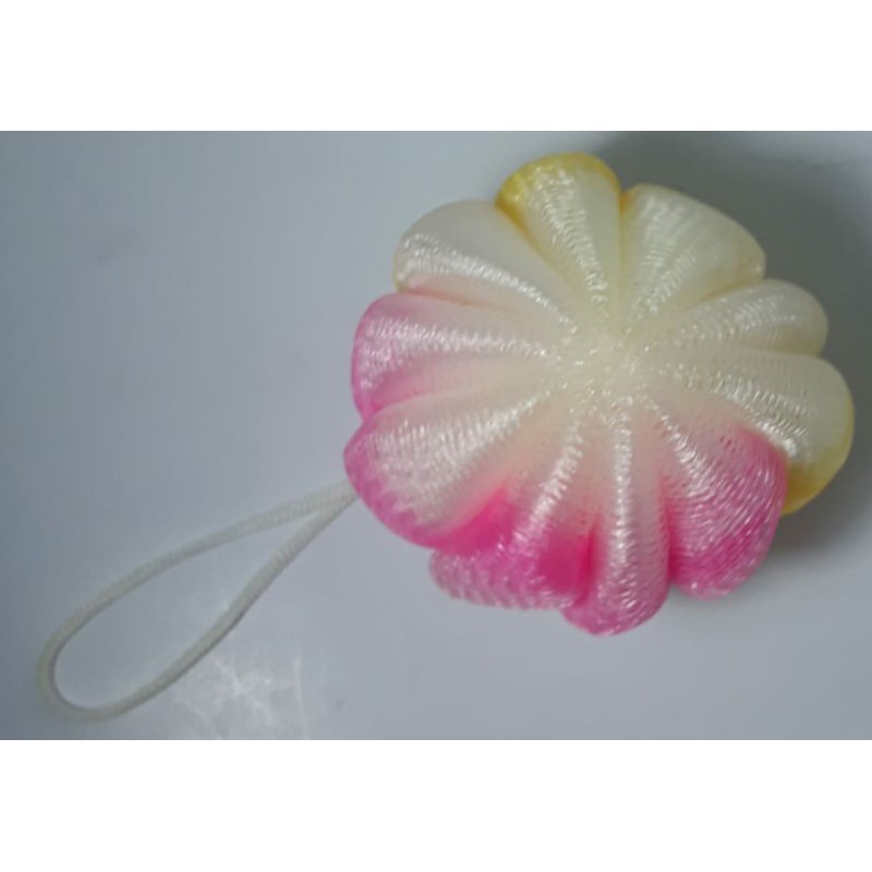 6pcs SPON MANDI LABU GROSIR