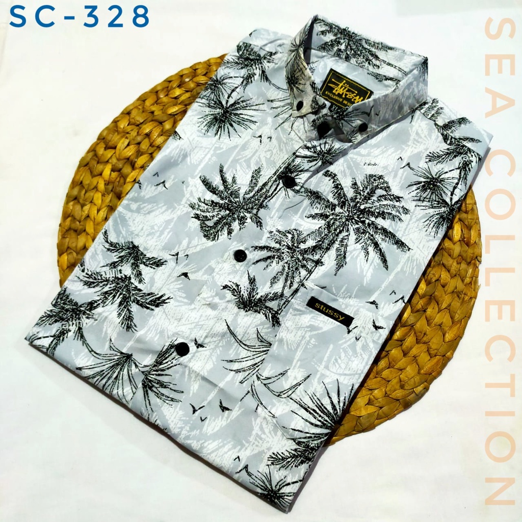 GAMBAR KEMEJA HANYA GAMBAR