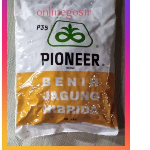 Khusus [ PROMO ] 1KG | benih jagung pioneer hibrida P35 1KG | Flash | COD | TERBARU | TERMURAH