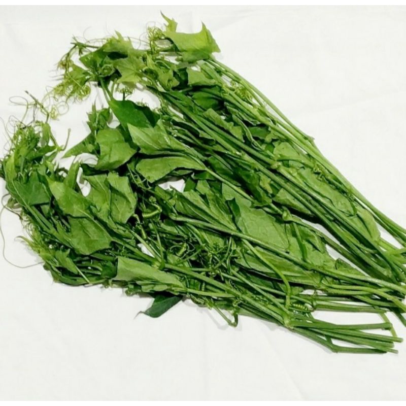 

daun pucuk labu organik | pack