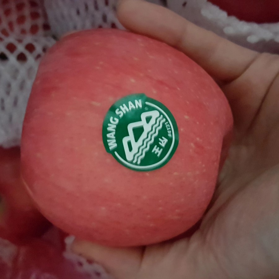 

APEL FUJI MANIS GARING RENYAH WANGSHAN CRISPY JUMBO MANTAP