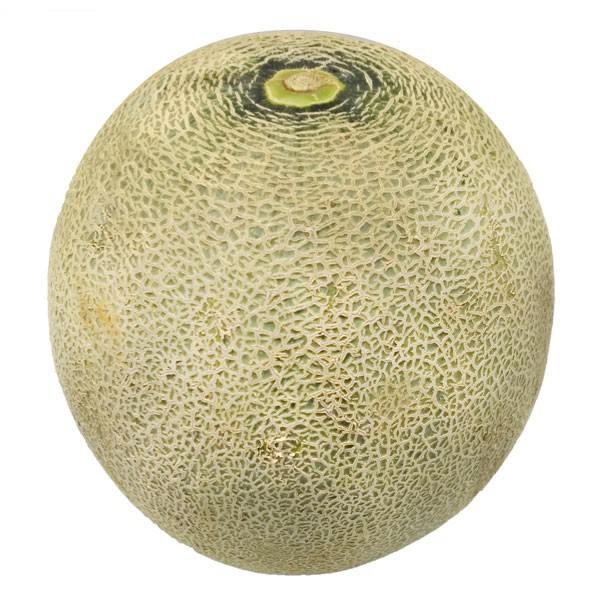 

Melon Super Sky Rocket 2200 Gr