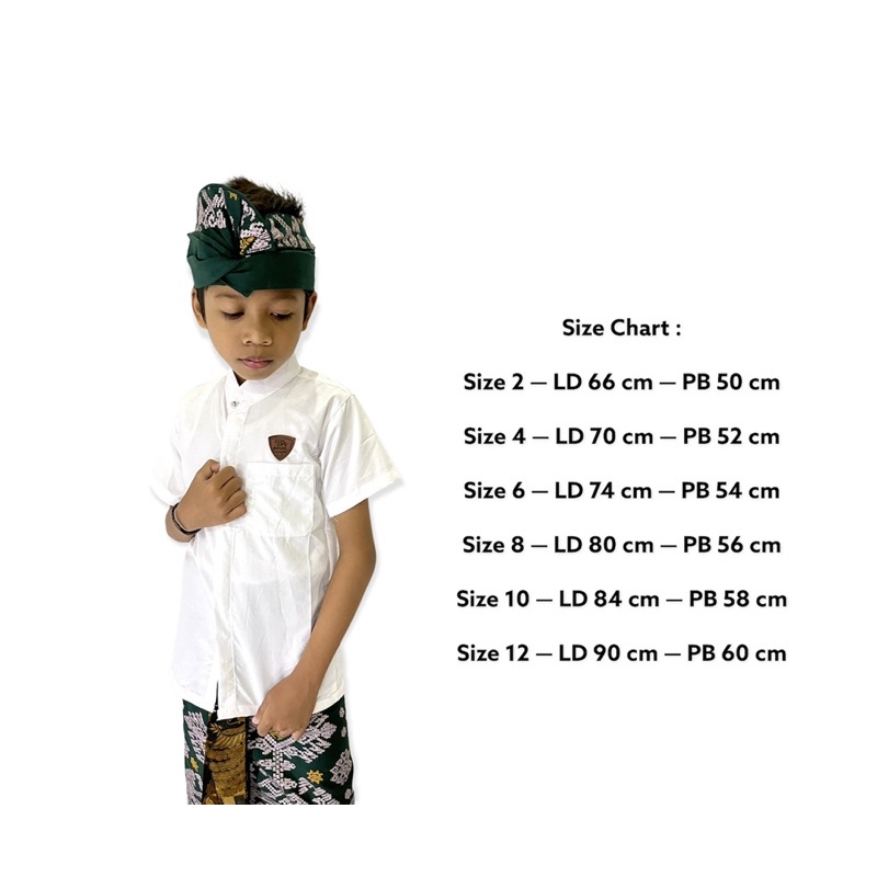 Baju Koko Anak/ BAJU SAJA!!//Safari Anak/ Pakaian Adat Bali Anak