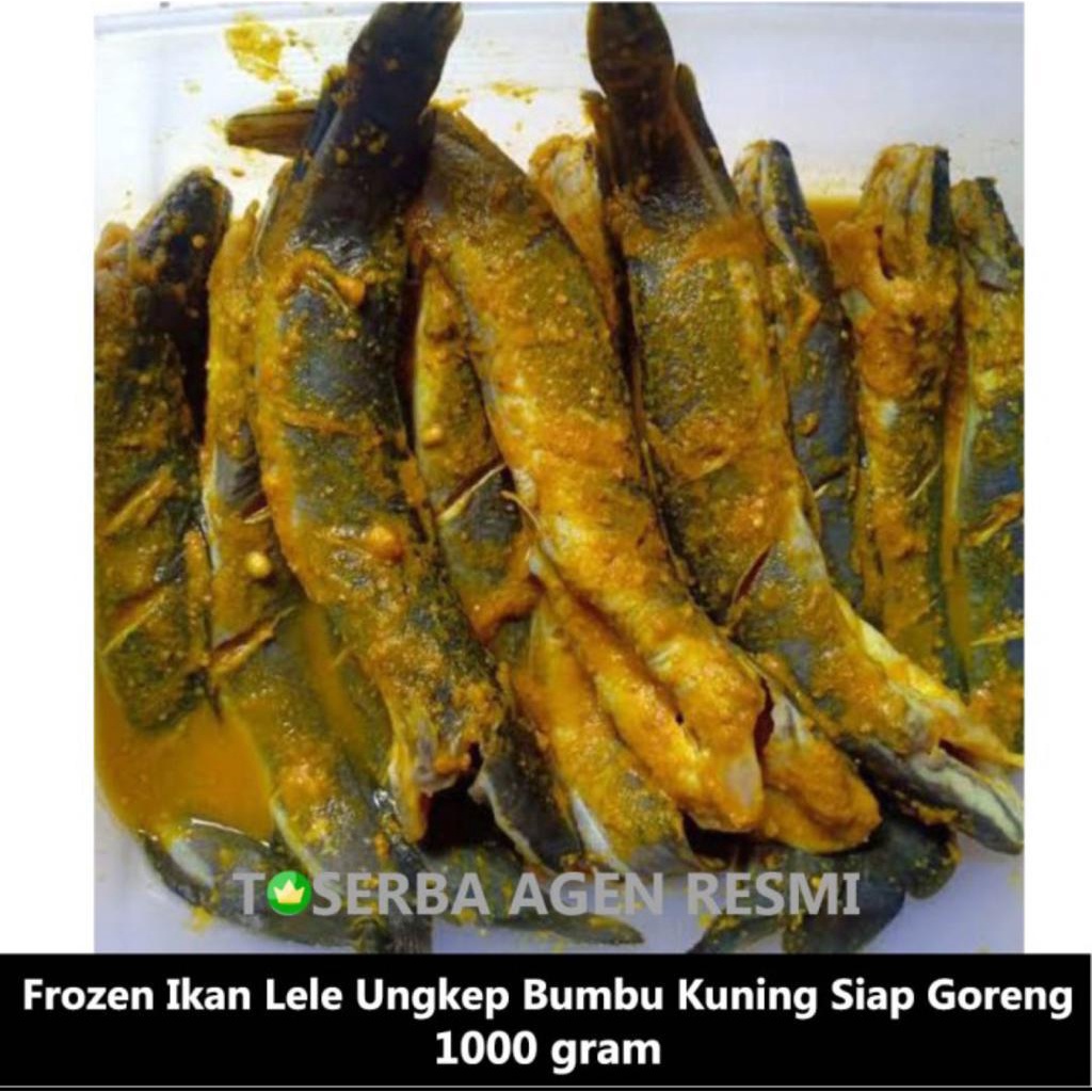 

FROZEN IKAN LELE MASAK UNGKEP BUMBU KUNING PRAKTIS SIAP GORENG 1 KG