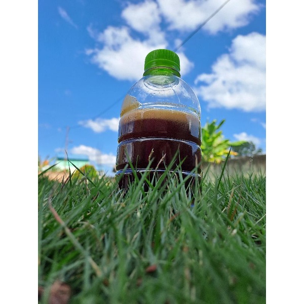 

Madu Murni Nektar Akasia Carva 1/2KG