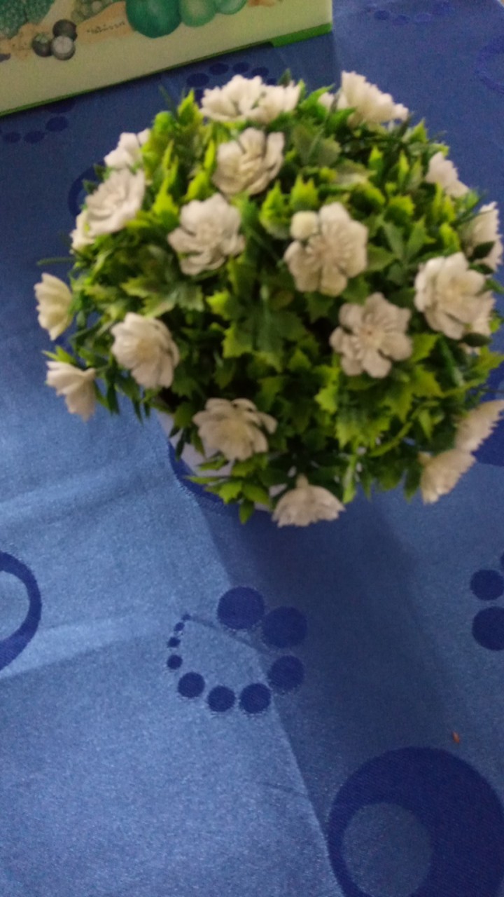 Selang Irigasi Selang Drip Pertanian Dan Irigasi 0,10 Mikron X 4cm X 100 Meter