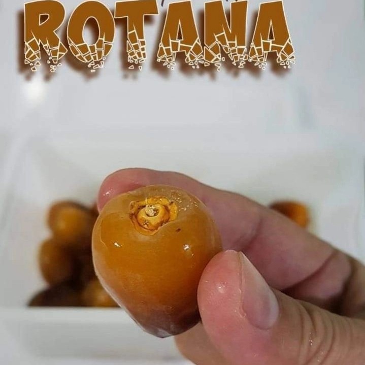 Kurma muda sukari ruthob rotana fresh terbaru kemasan asli saudi