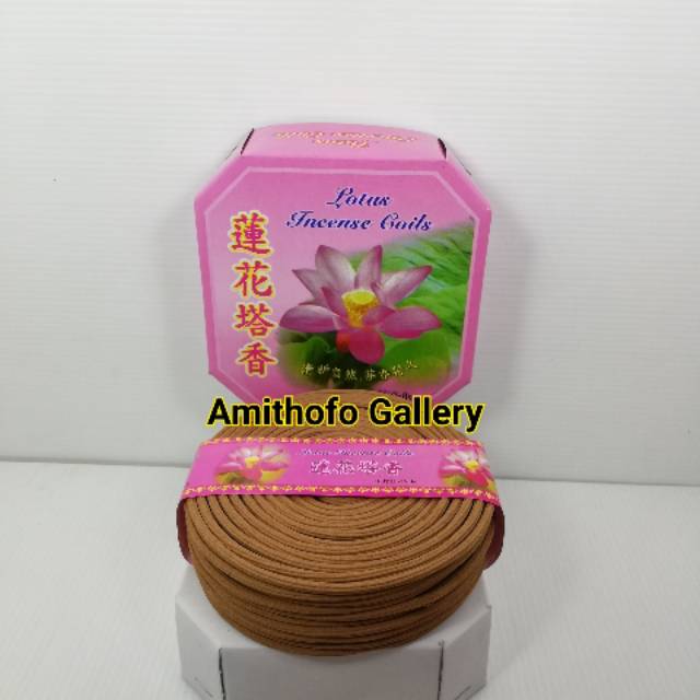 Thak hio lotus 12 jam