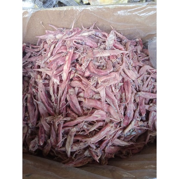 

Cumi panjang Asin basah per 500g