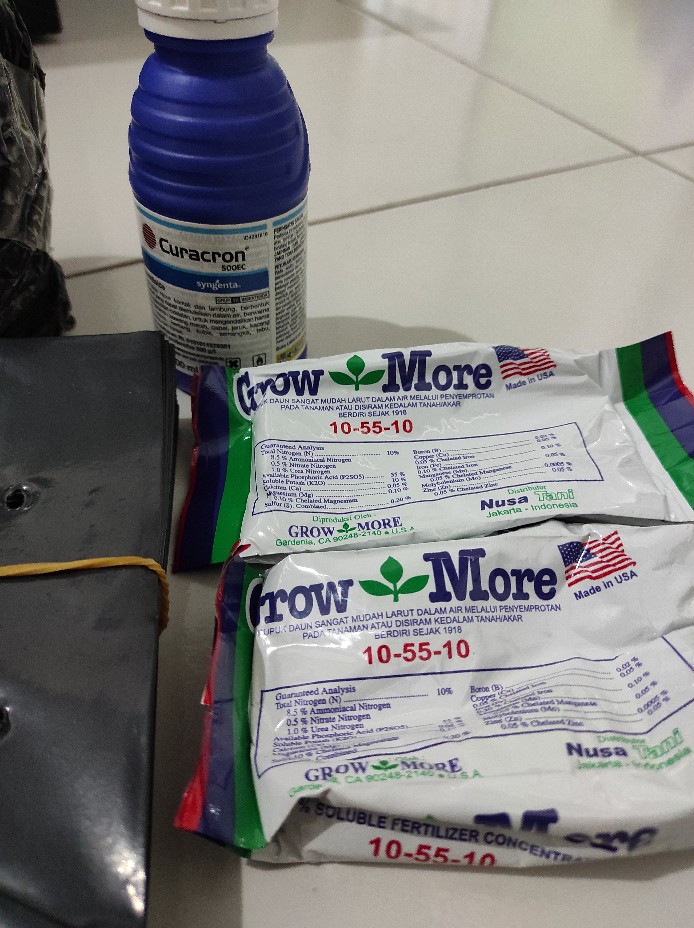 Insektisida Curacron Pembasmi Hama Kutu Putih