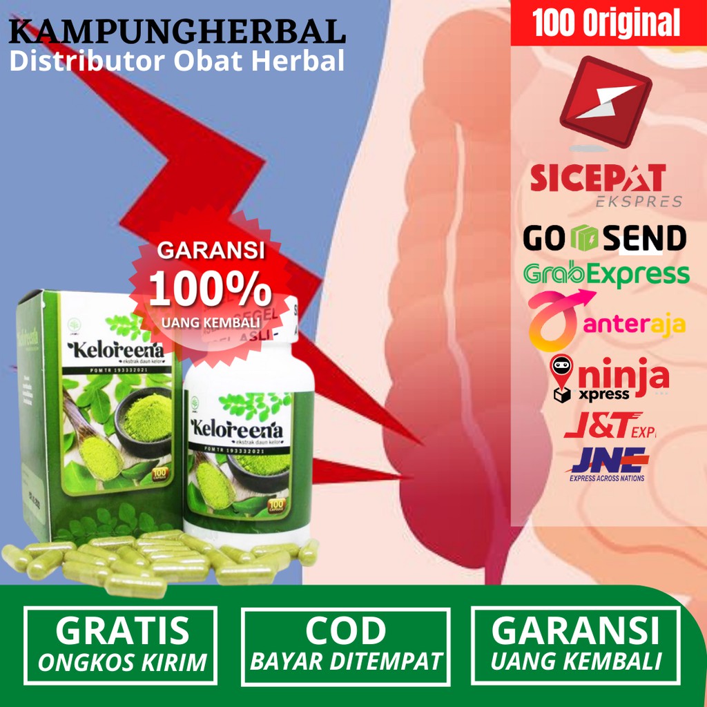 Obat Radang Usus Buntu_Radang Usus Buntu Kronis_Radang Usus Buntu Akut_Keloreena Ekstrak Daun Kelor