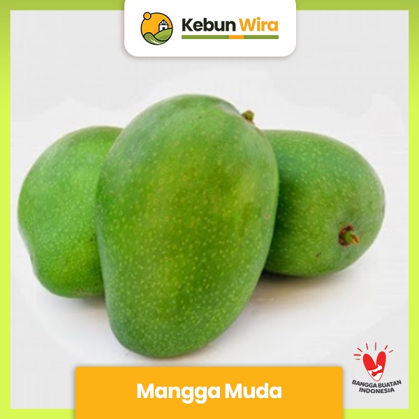 

Mangga Muda | Young Manggo