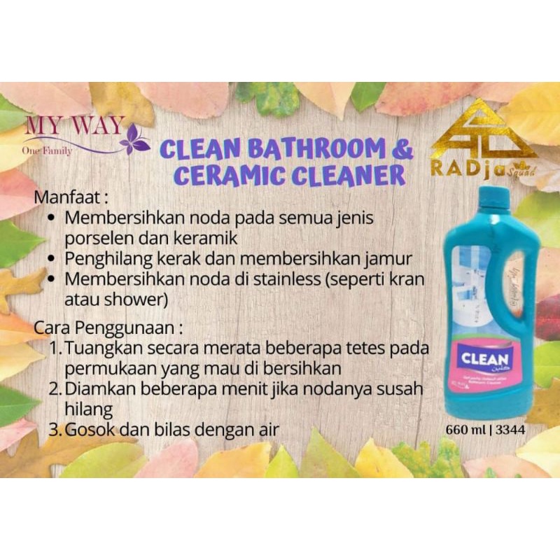 Clean Bathroom My Way