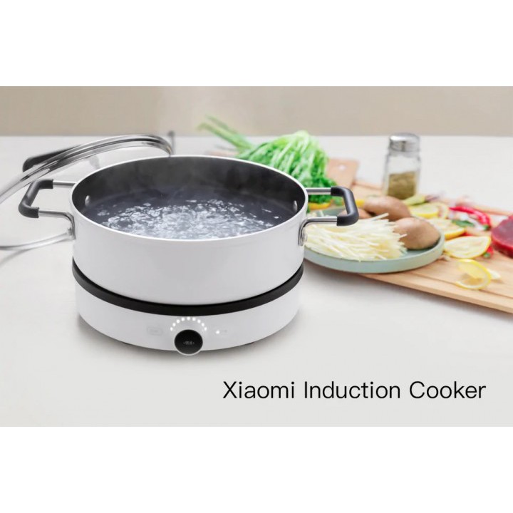 XIAOMI MIJIA Precise Control Induction Plate Cooker - DCLM01M