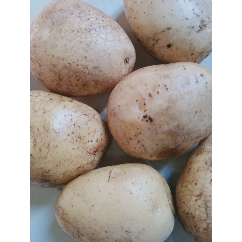 

kentang .sayuran murah 1000gram