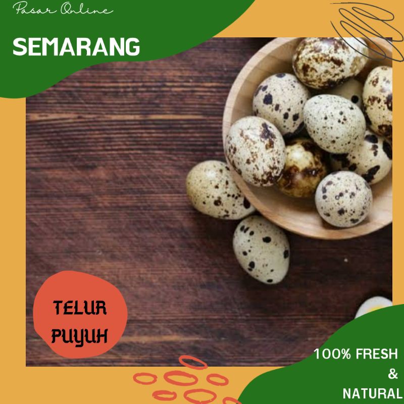 

Telur Puyuh / Telur Burung Puyuh / Telur Kecil / Telur Enak / Makanan Sehat / Bergizi / Murah