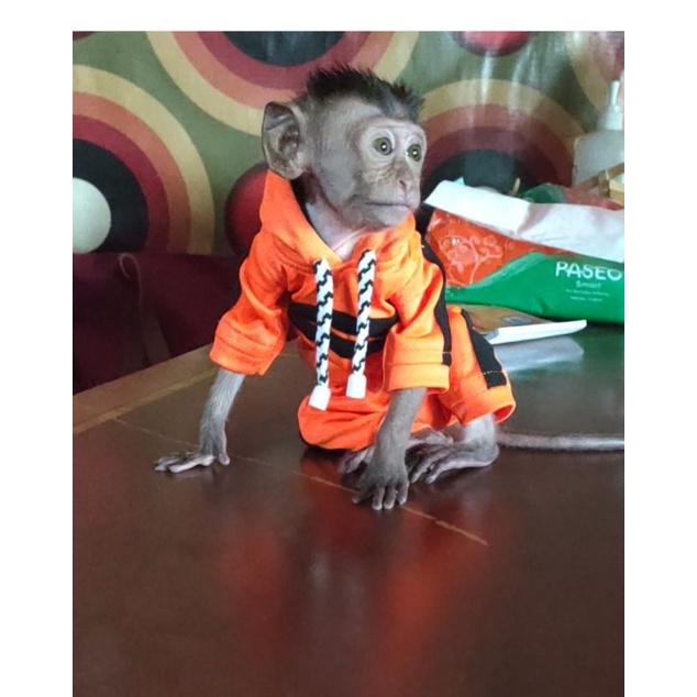 BAJU MONPAI & BERUK baby & dewasa .baca diskripsi ukuran sebelum buat pesanan