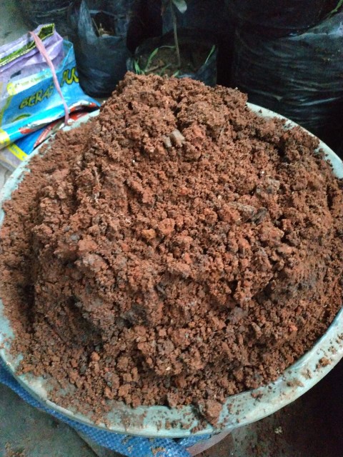 Cosmec Manual Sprayer 16 Liter Semprot Hama Manual Hand Bermutu Berkualitas Terbaik