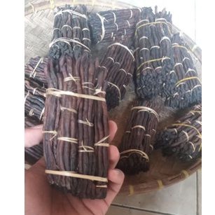 

CACING KERING Asli 1 Ikat Besar Obat Tipes Dan Demam tinggi Paling Manjur