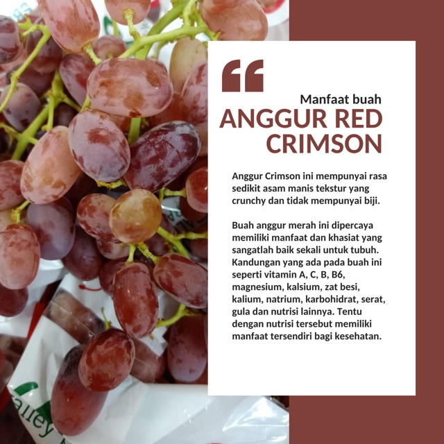 Anggur Crimson Merah Shopee Indonesia