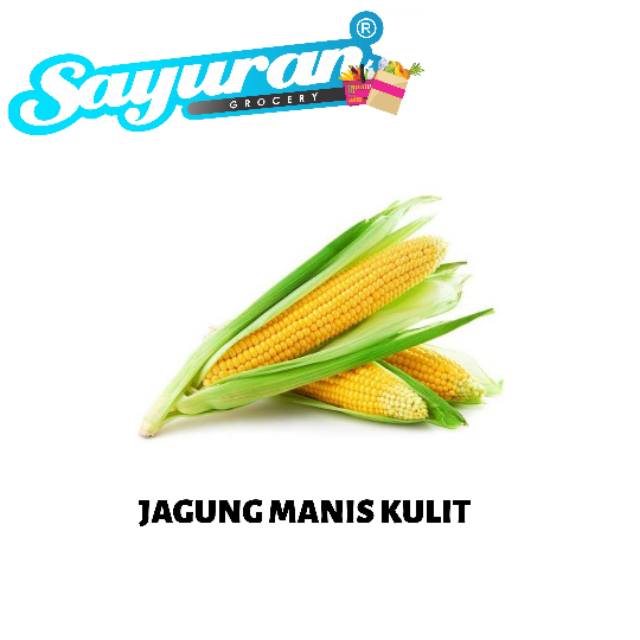 

Jagung Manis Kulit 1 pcs