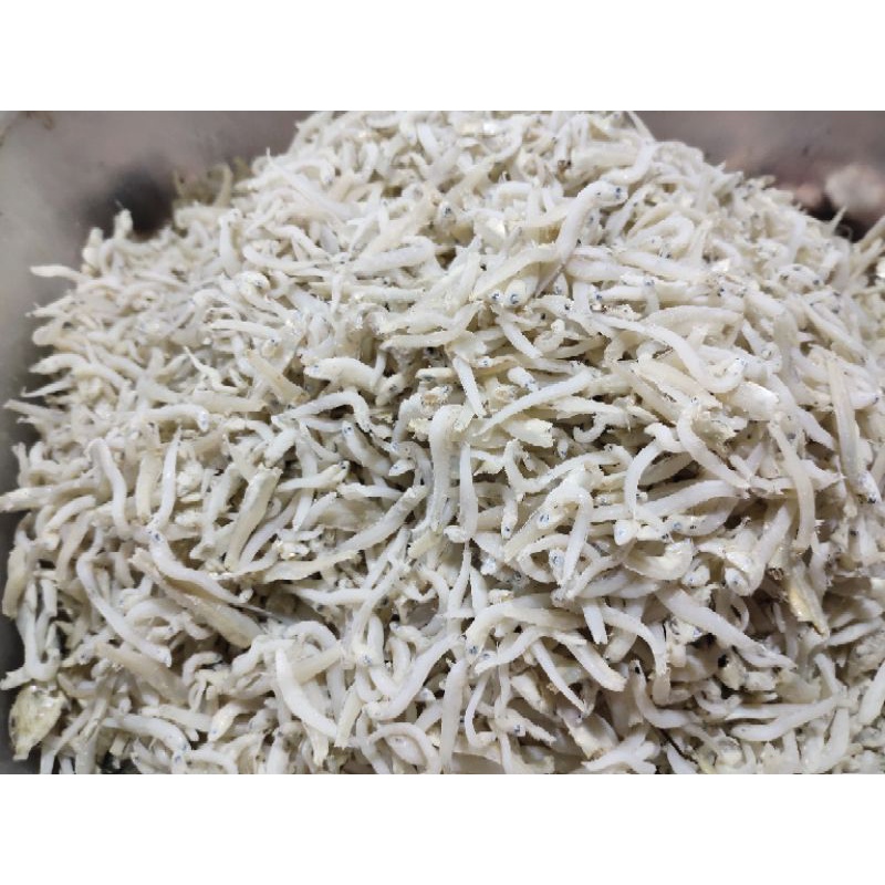 

Teri Medan super