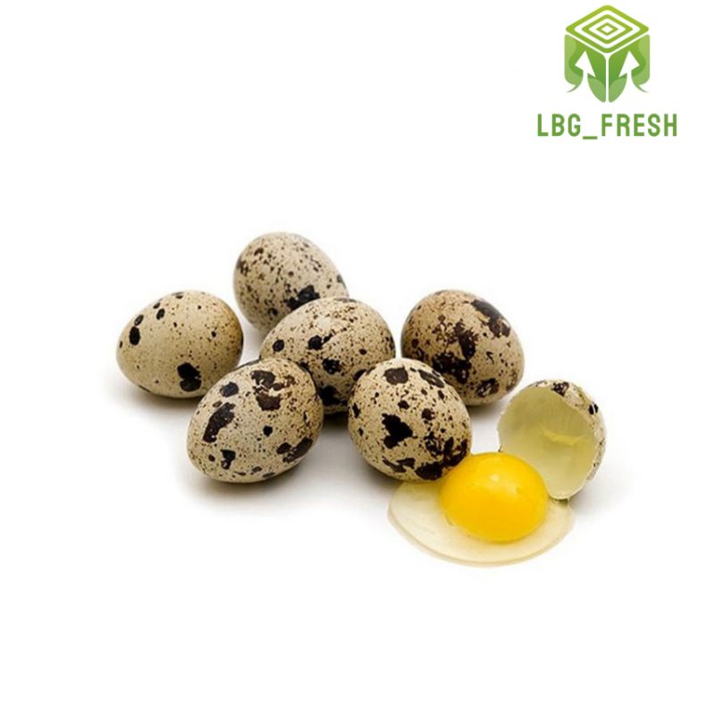 

Telur puyuh 30 butir