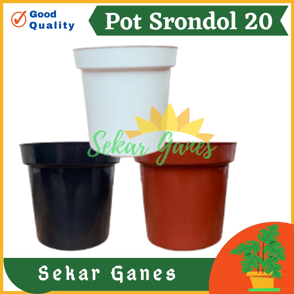 Pot Tinggi Srondol 20 Putih Hitam Merah BataTerracota Terracotta Merah Coklat - Pot Tinggi Usa Eiffel 18 20 25 Lusinan Pot Tinggi Tirus 15 18 20 30 35 40 50 Cm Pot Bunga Plastik Lusinan Pot Tanaman Pot Bibit Besar Mini Kecil Pot Srondol