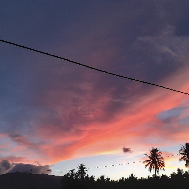 Kemeja Batik Prada Bakung Hitam Emas Gold Exclusive Real Pict