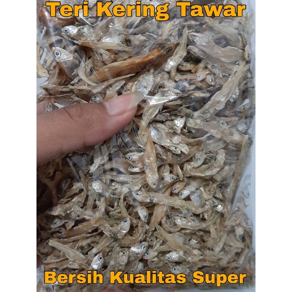 

Teri Kering - Teri Kering Tawar - Teri Tawar