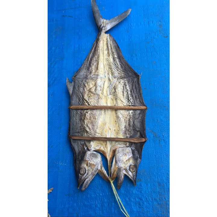 

Ikan Tenggiri Asin