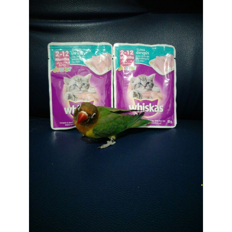 whiskas makanan basah kucing/whiskas basah rasa tuna/whiskas tuna