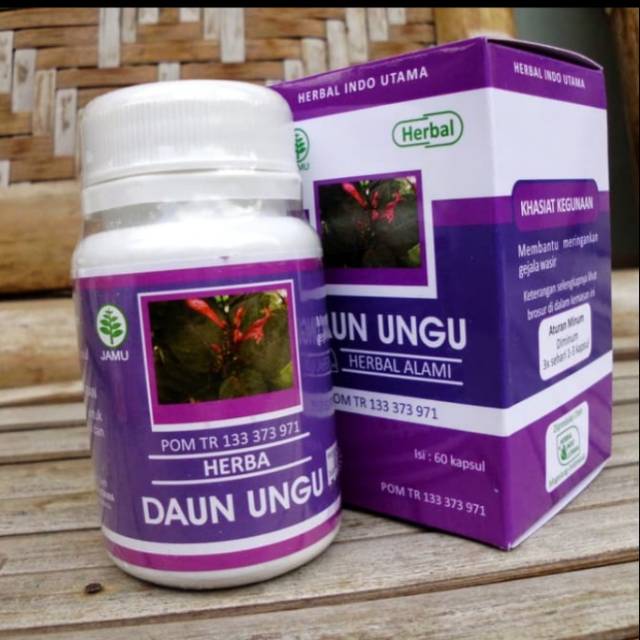 Obat Ambeien Herbal wasir Daun Ungu Manjur