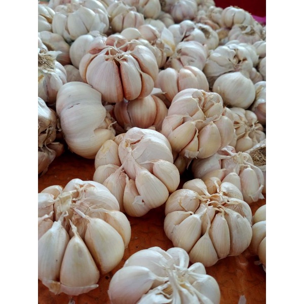 

Bawang putih kualitas super 500 gr