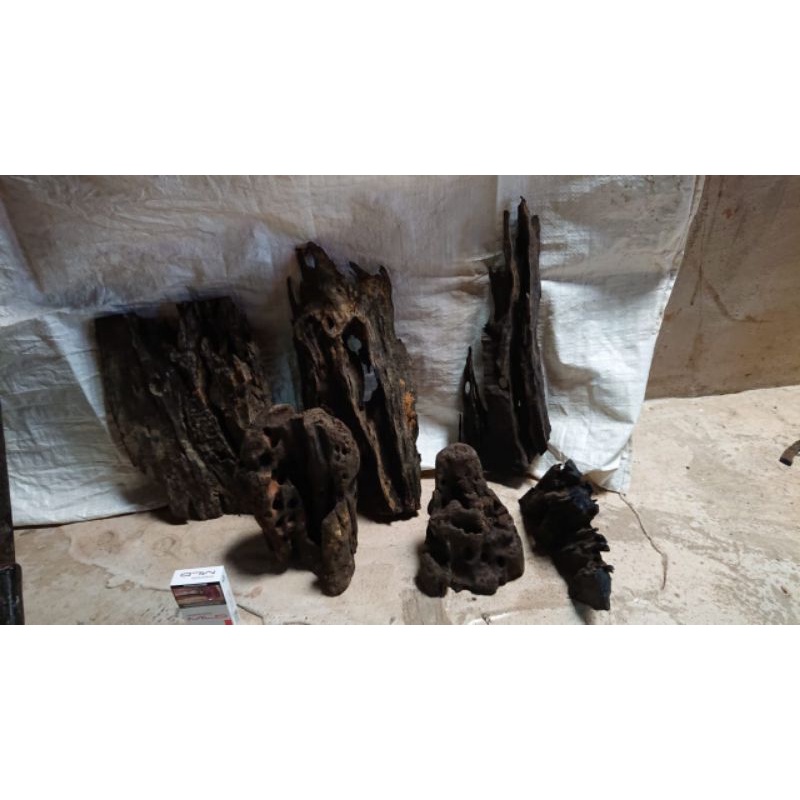 Fosil kayu Ulin,Kayu rentek, dekorasi aquarium,Aquarium