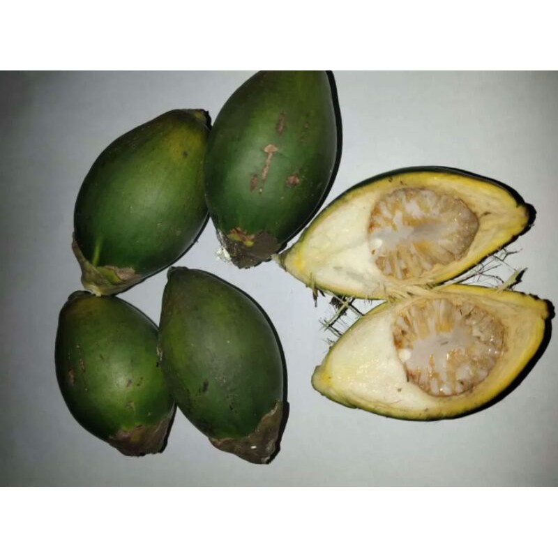 

buah pinang utuh tidak di kupas. tidak terlalu tua dan tidak terlalu muda (sedang). harga per buah