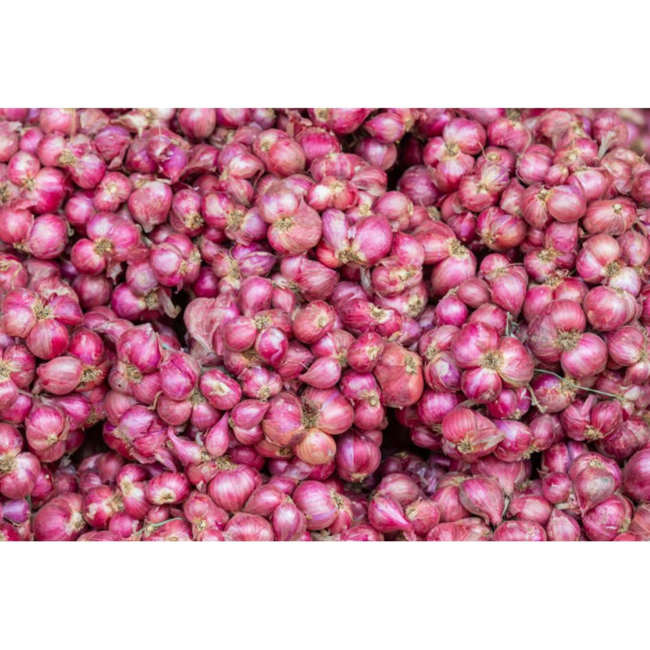 

Bawang Merah 1kg