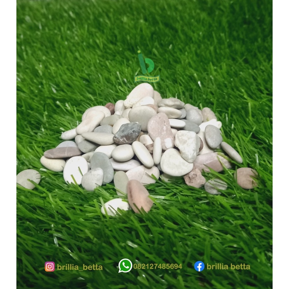 Batu Pancawarna / Batu Hias Tanaman Taman / Batu Kerikil Hias/ Koral
