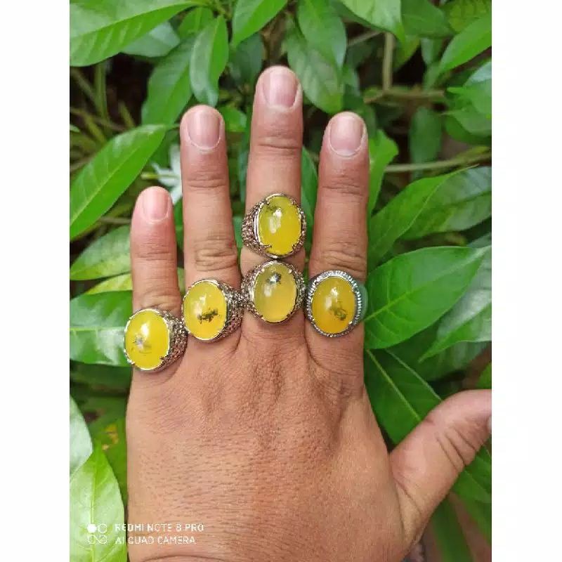 Cincin Getah Katilayu Semut (M)