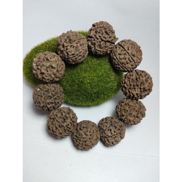 gelang buah jenitri asli