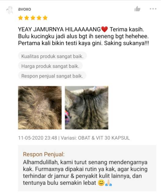 [A01] OBAT JAMUR KUCING / PAKET OBAT VITAMIN KUCING / OBAT BULU KUCING / KUTU KUCING SCABIES IRITASI